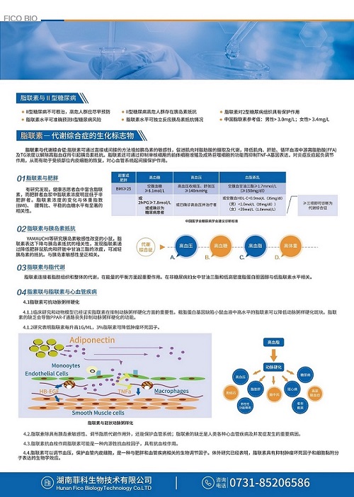 脂联素彩页2.jpg